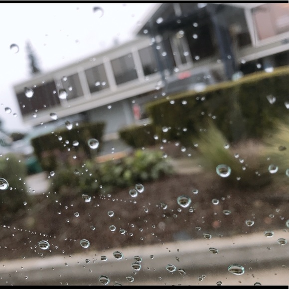 Meet your Posher, Shams - Picture 1 of 1